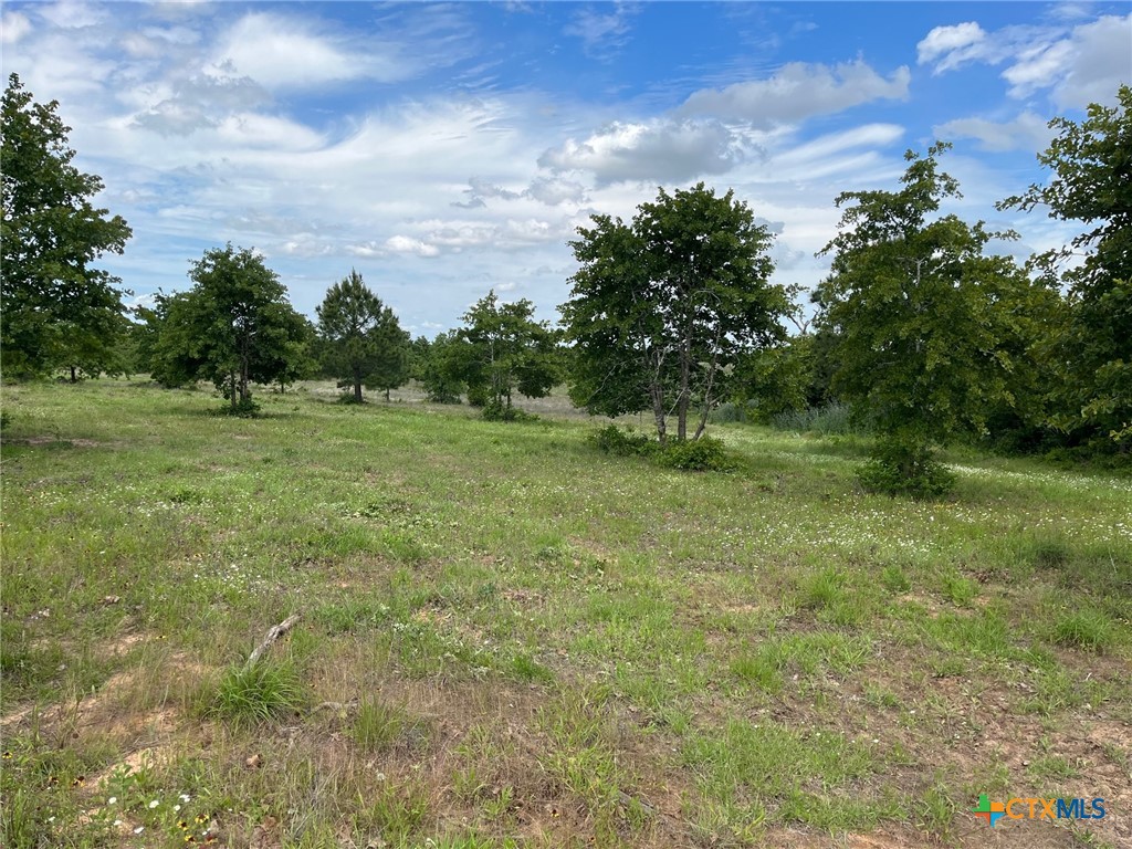 TBD Rifle Road , Rosanky, TX, 78953 | 545341 | Realty Texas LLC
