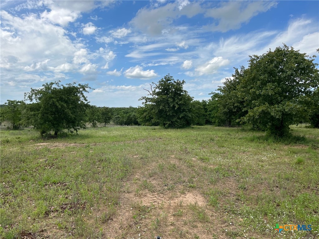TBD Rifle Road , Rosanky, TX, 78953 | 545341 | Realty Texas LLC