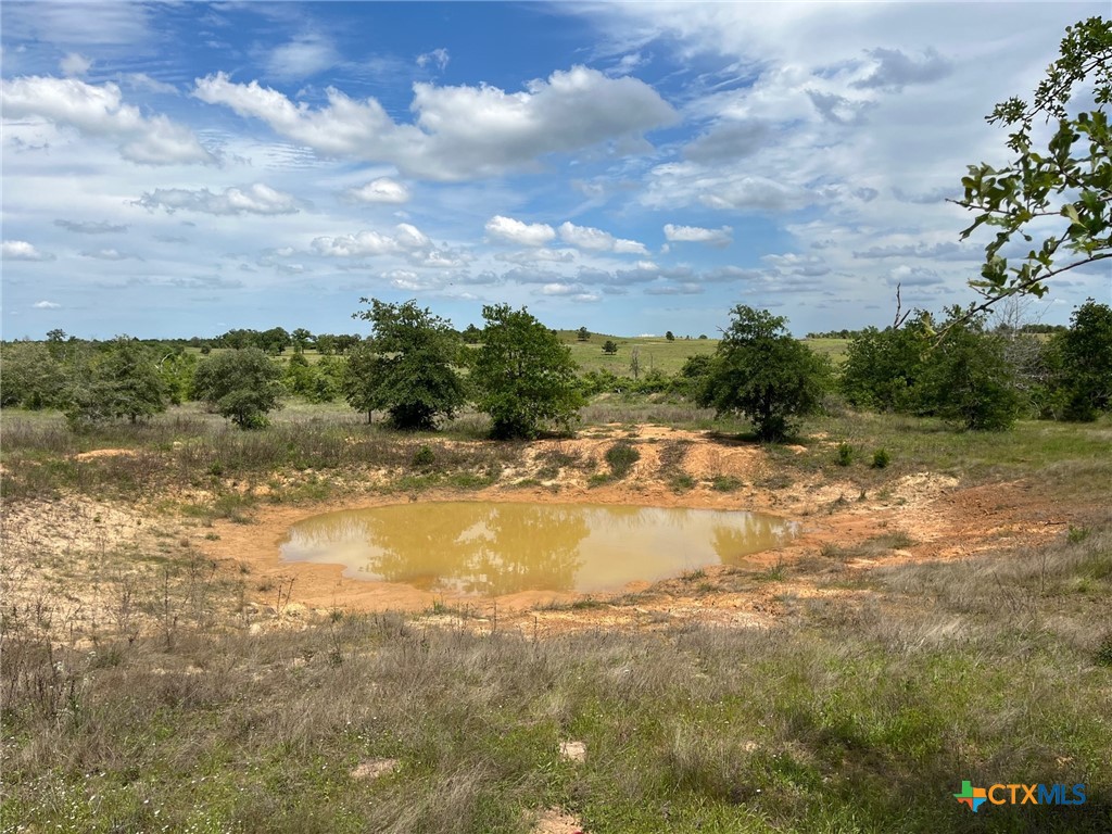 TBD Rifle Road , Rosanky, TX, 78953 | 545341 | Realty Texas LLC