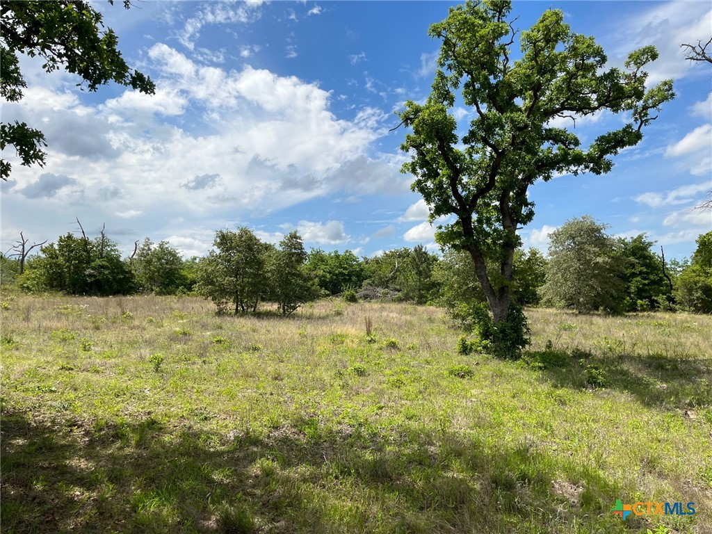 TBD Rifle Road , Rosanky, TX, 78953 | 545341 | Realty Texas LLC