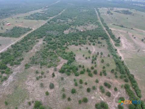 TBD Rifle Road , Rosanky, TX, 78953 | 545341 | Realty Texas LLC