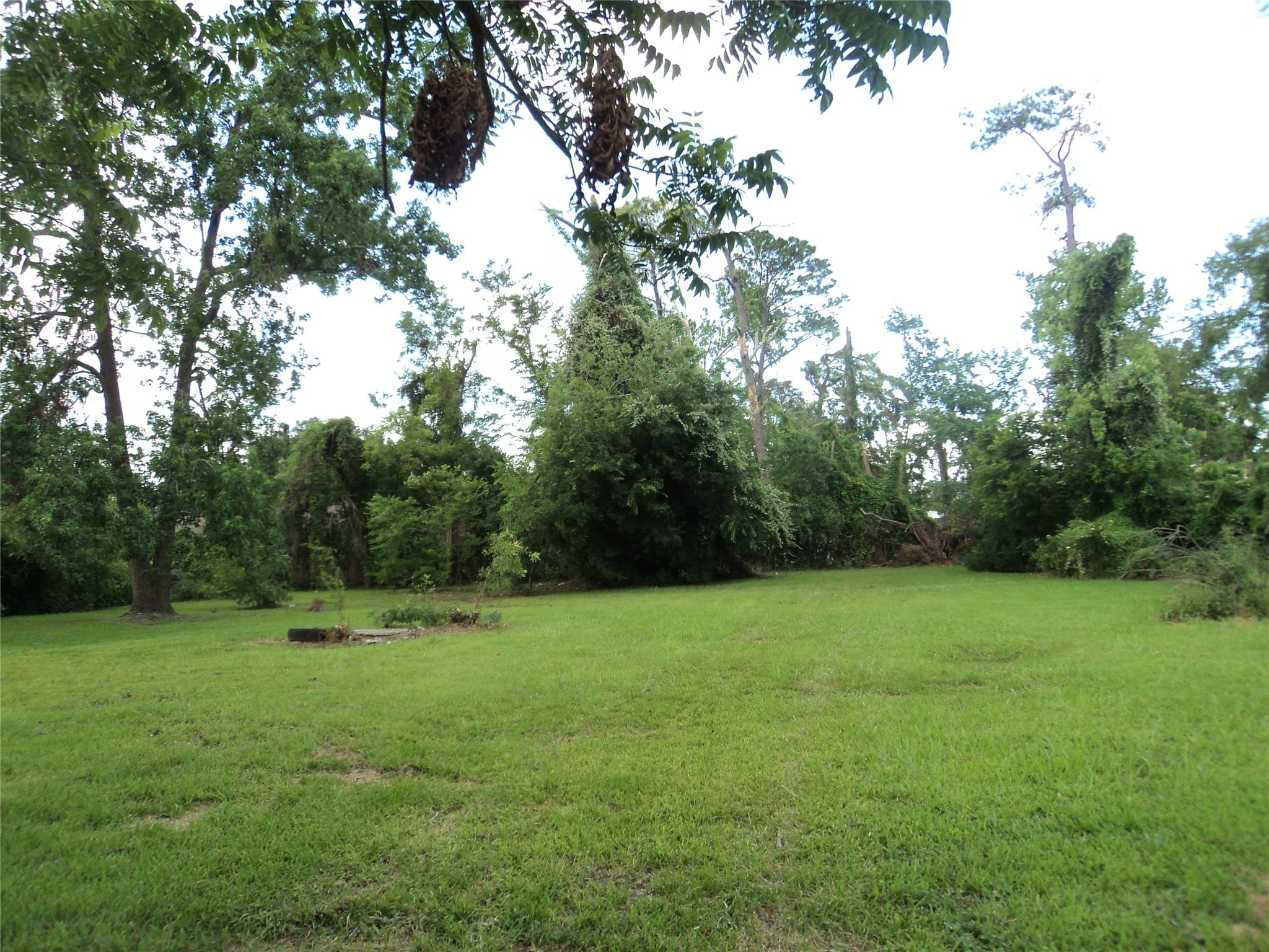 6729 Kittridge Street , Houston, TX, 77028 | 22305954 | Realty Texas LLC