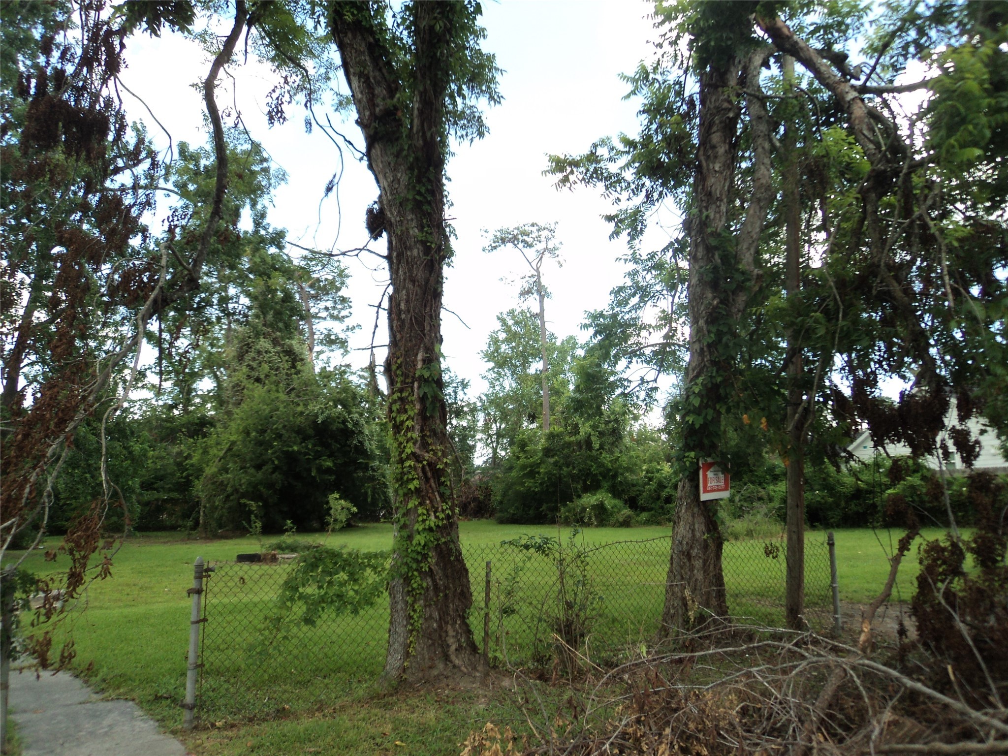 6729 Kittridge Street , Houston, TX, 77028 | 22305954 | Realty Texas LLC