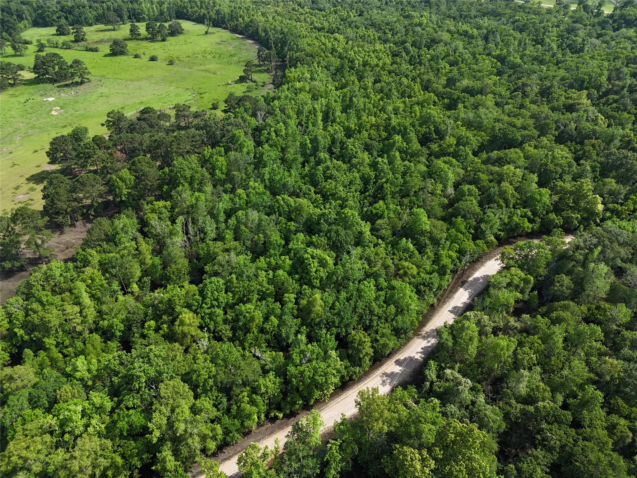 TBD County Road 149, Liberty, TX, 77575 | 86437722 | Realty Texas LLC