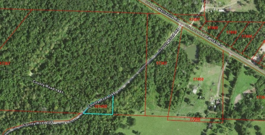 TBD County Road 149, Liberty, TX, 77575 | 86437722 | Realty Texas LLC