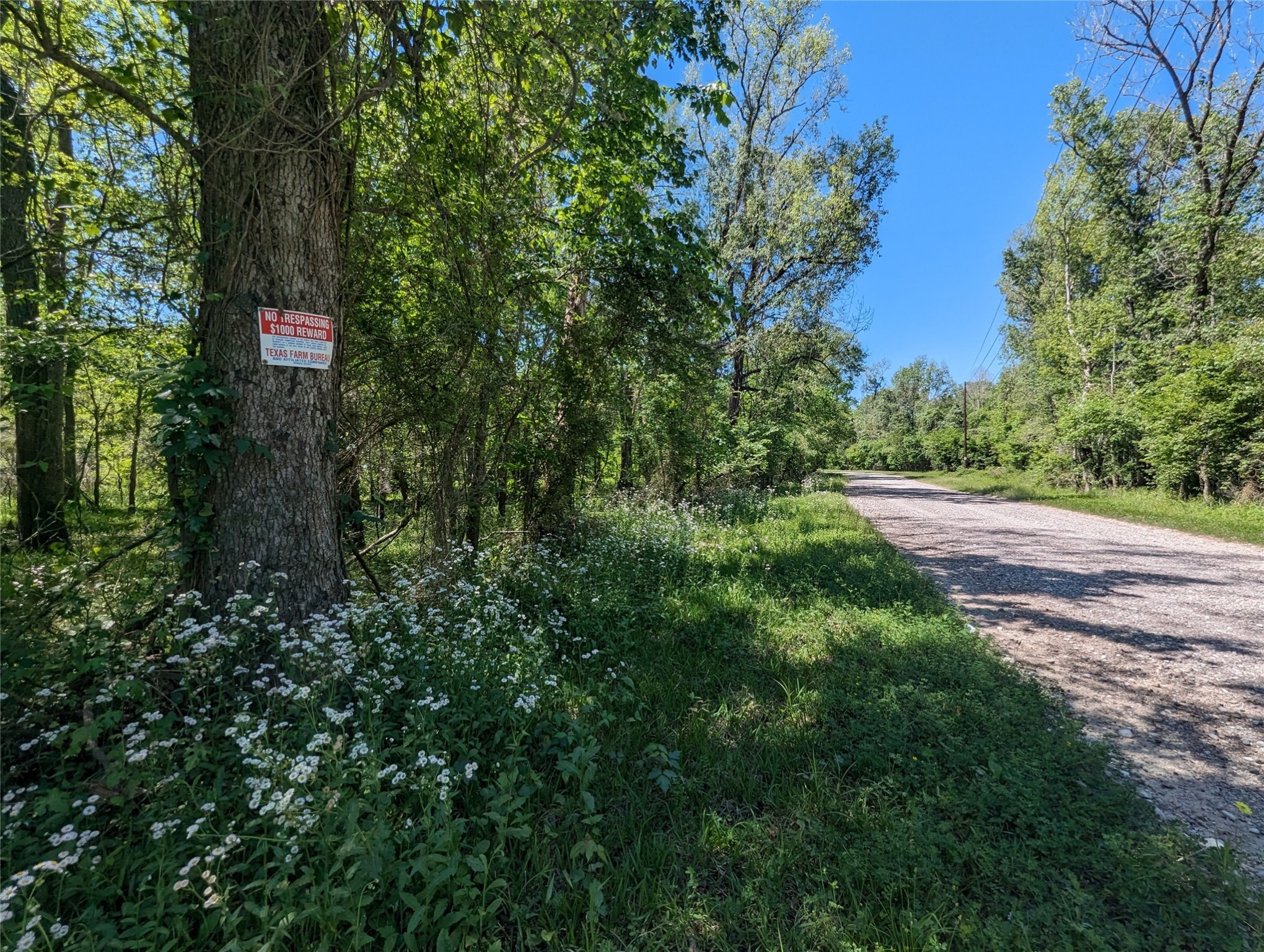 TBD County Road 149, Liberty, TX, 77575 | 86437722 | Realty Texas LLC
