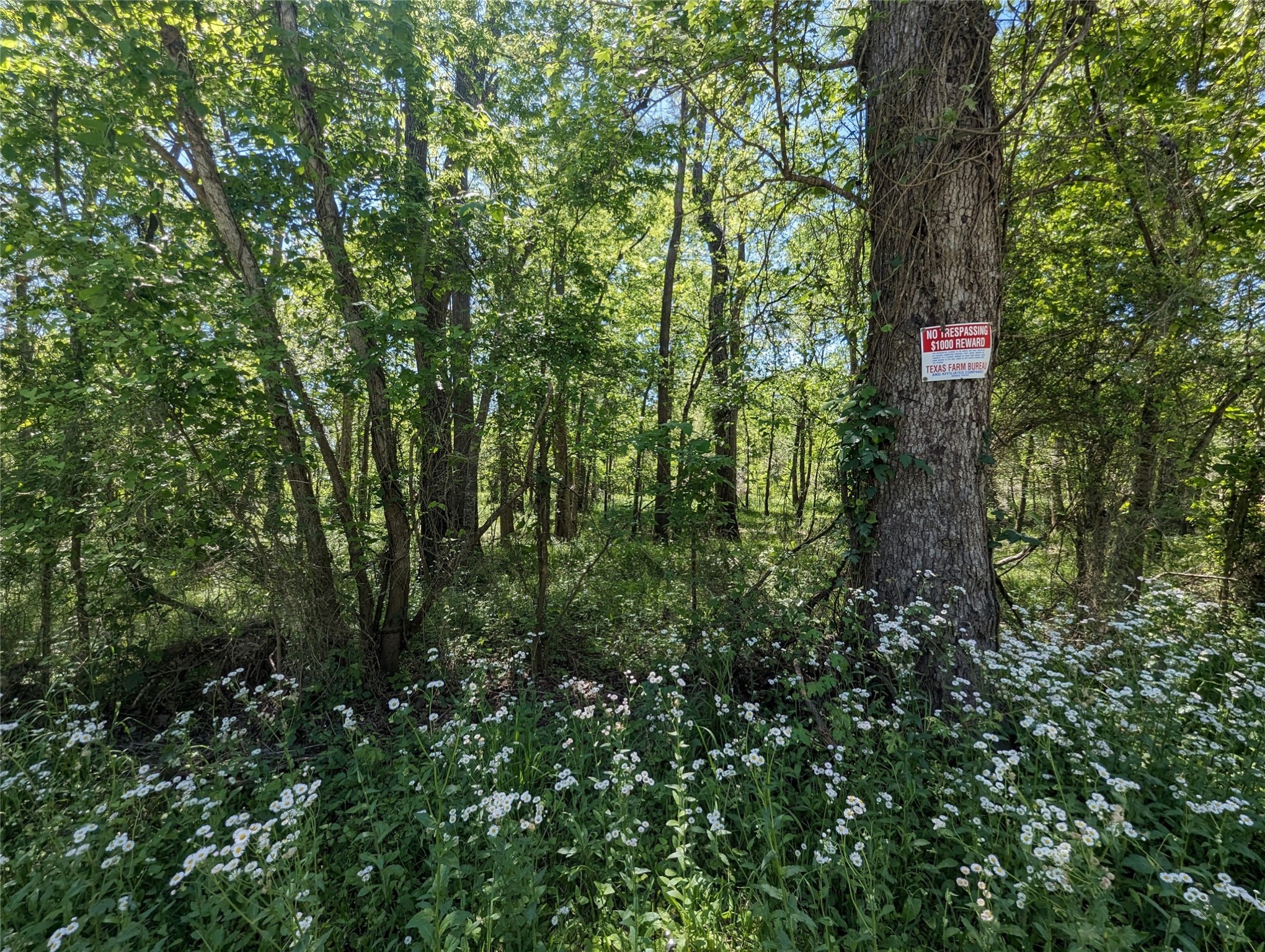 TBD County Road 149, Liberty, TX, 77575 | 86437722 | Realty Texas LLC