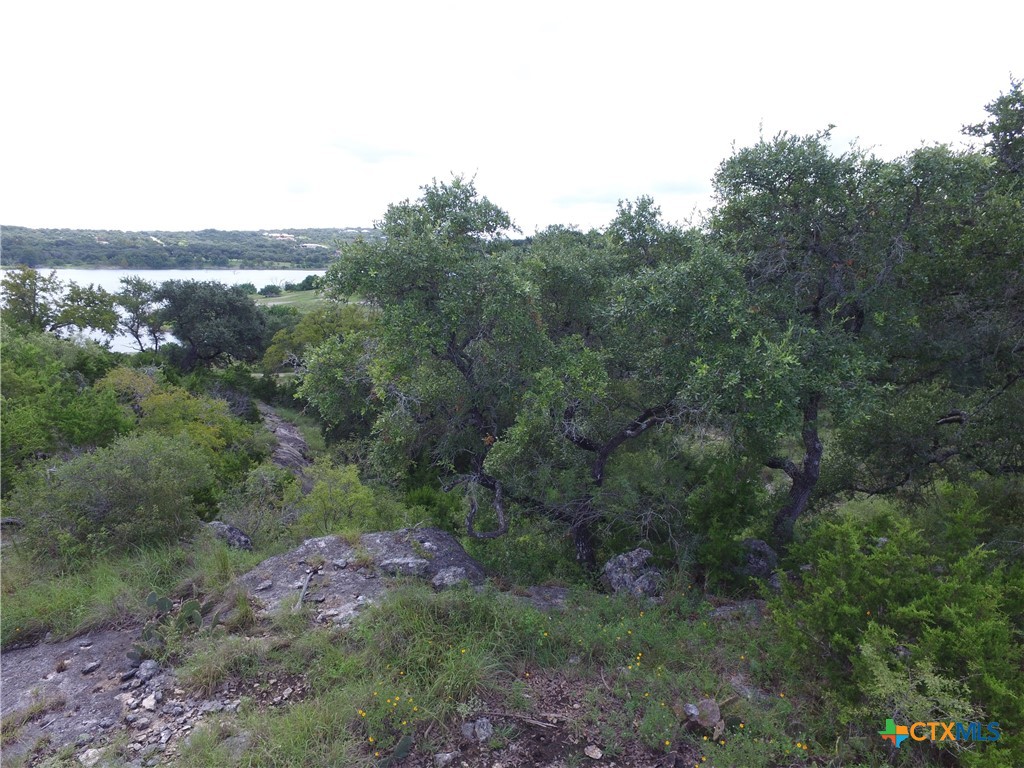 1516 Ensenada Drive , Canyon Lake, TX, 78133 | 545635 | Realty Texas LLC