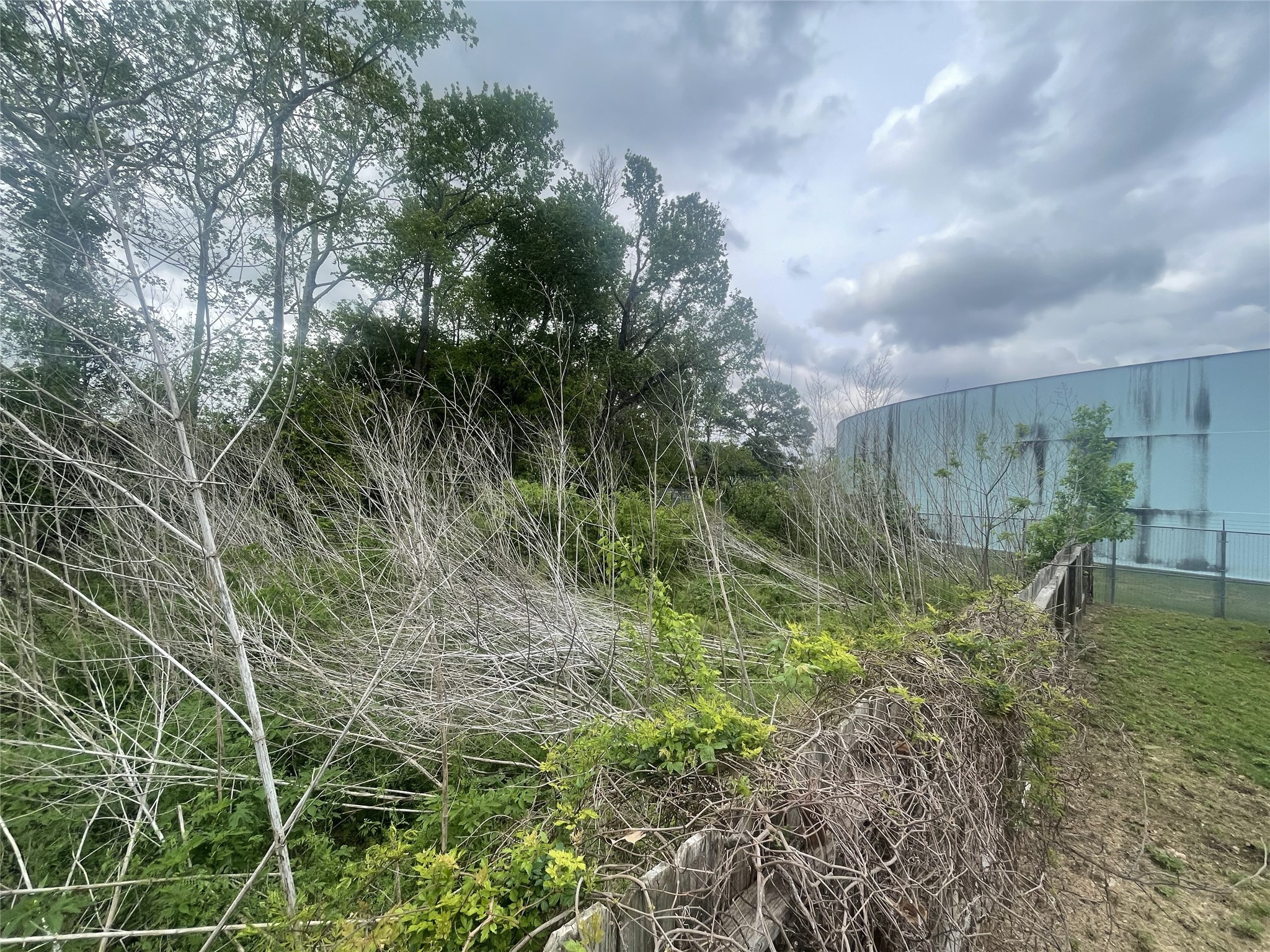 1820 Dolly Wright Street , Houston, TX, 77088 | 96320720 | Realty Texas LLC