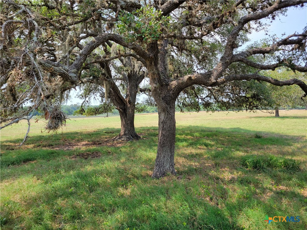 0000 Franke Road , Goliad, TX, 77963 | 545707 | Realty Texas LLC