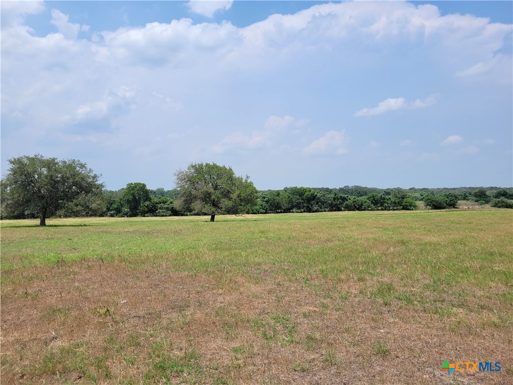 0000 Franke Road , Goliad, TX, 77963 | 545707 | Realty Texas LLC
