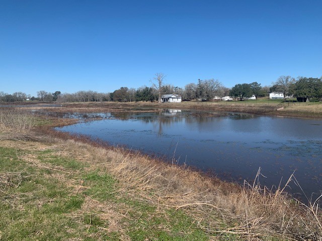 928 Chapparal Road , La Grange, TX, 78945 | 95380785 | Realty Texas LLC