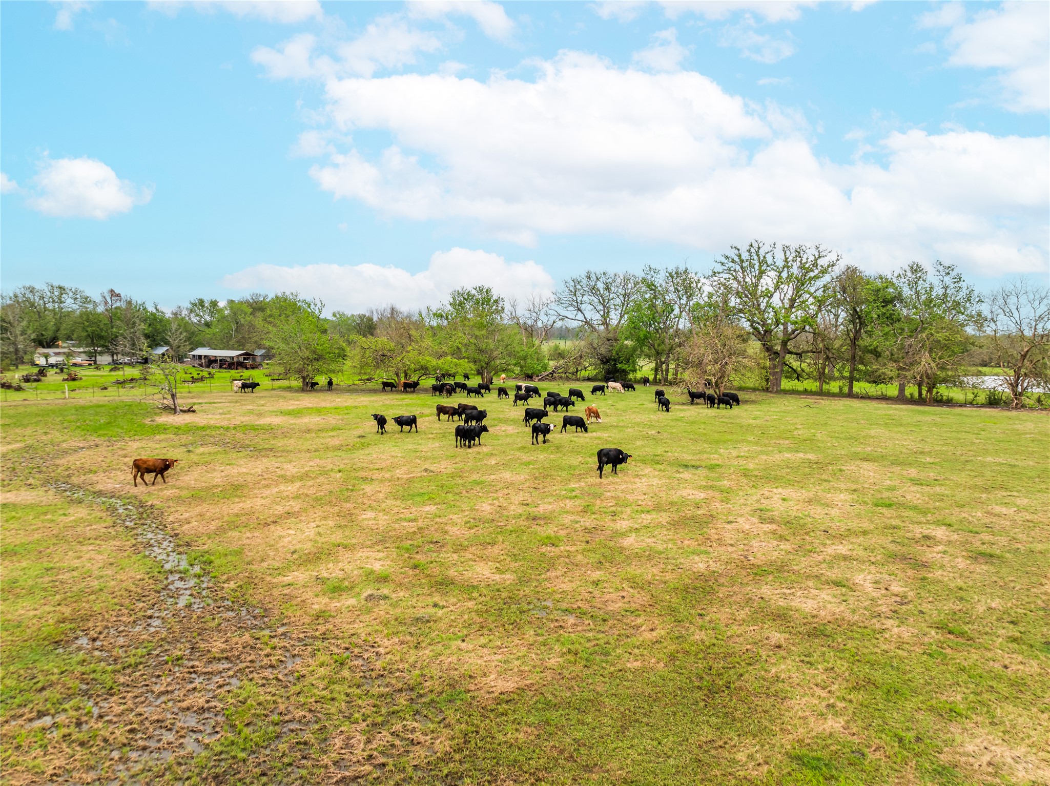 000 CR 14760 , Paris, TX, 75462 | 20629391 | Realty Texas LLC
