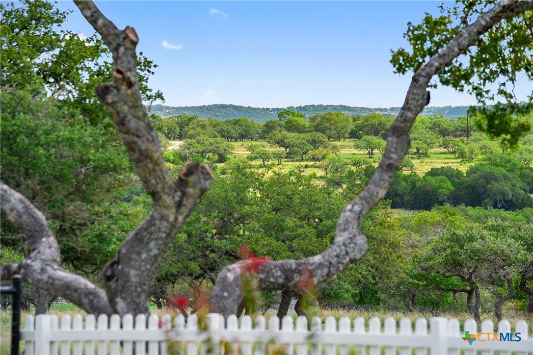 2454 McKinney Loop , Blanco, TX, 78606 | 545818 | Realty Texas LLC