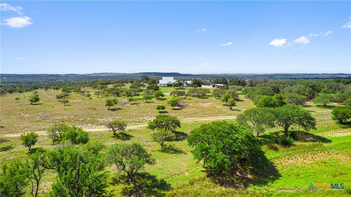 2454 McKinney Loop , Blanco, TX, 78606 | 545818 | Realty Texas LLC