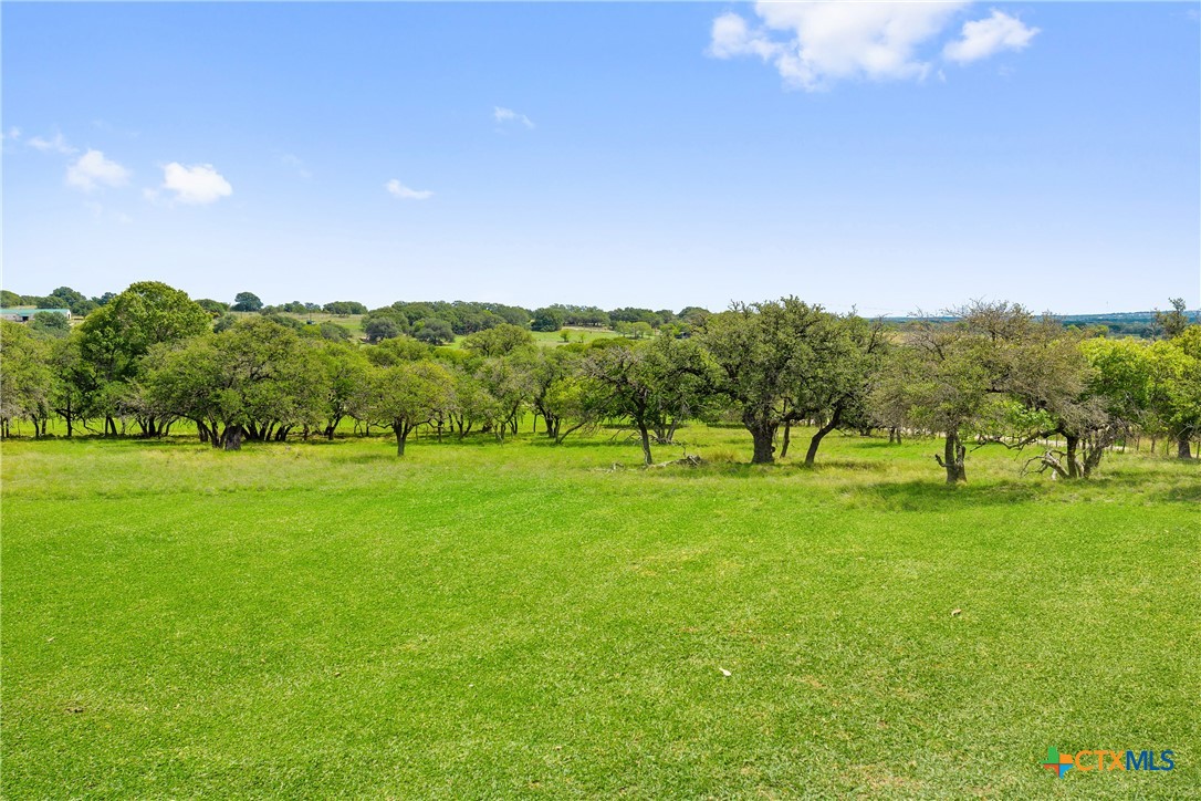 2454 McKinney Loop , Blanco, TX, 78606 | 545818 | Realty Texas LLC