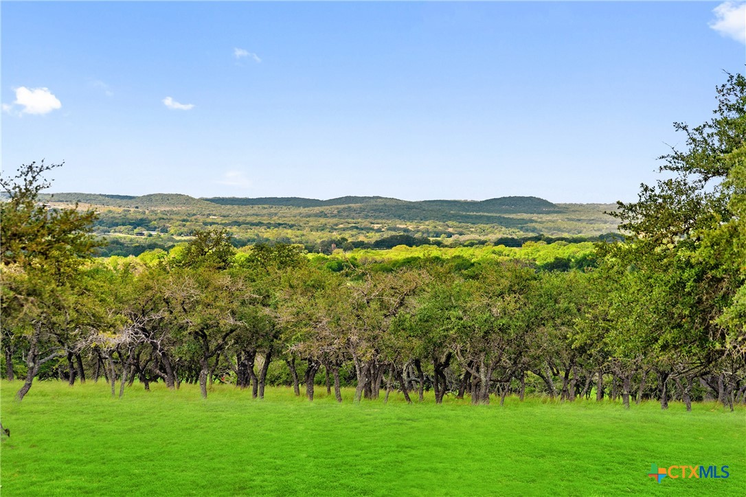 2454 McKinney Loop , Blanco, TX, 78606 | 545818 | Realty Texas LLC
