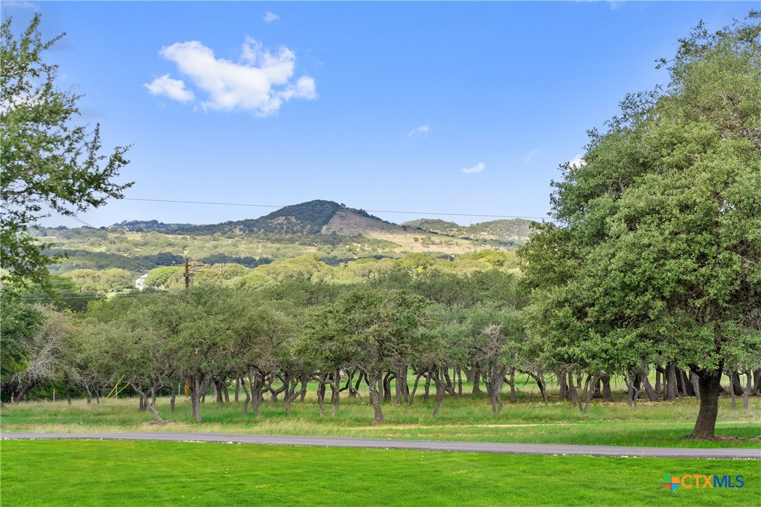 2454 McKinney Loop , Blanco, TX, 78606 | 545818 | Realty Texas LLC
