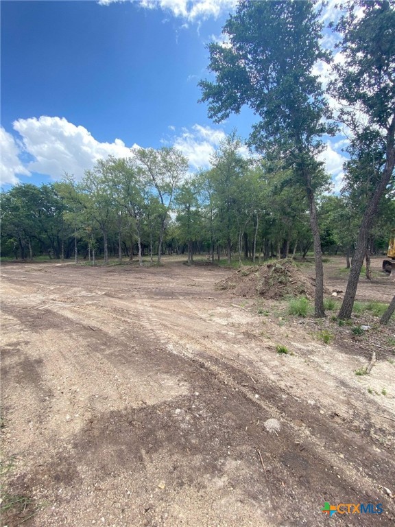 901 County Road 3152 , Kempner, TX, 76539 | 545651 | Realty Texas LLC