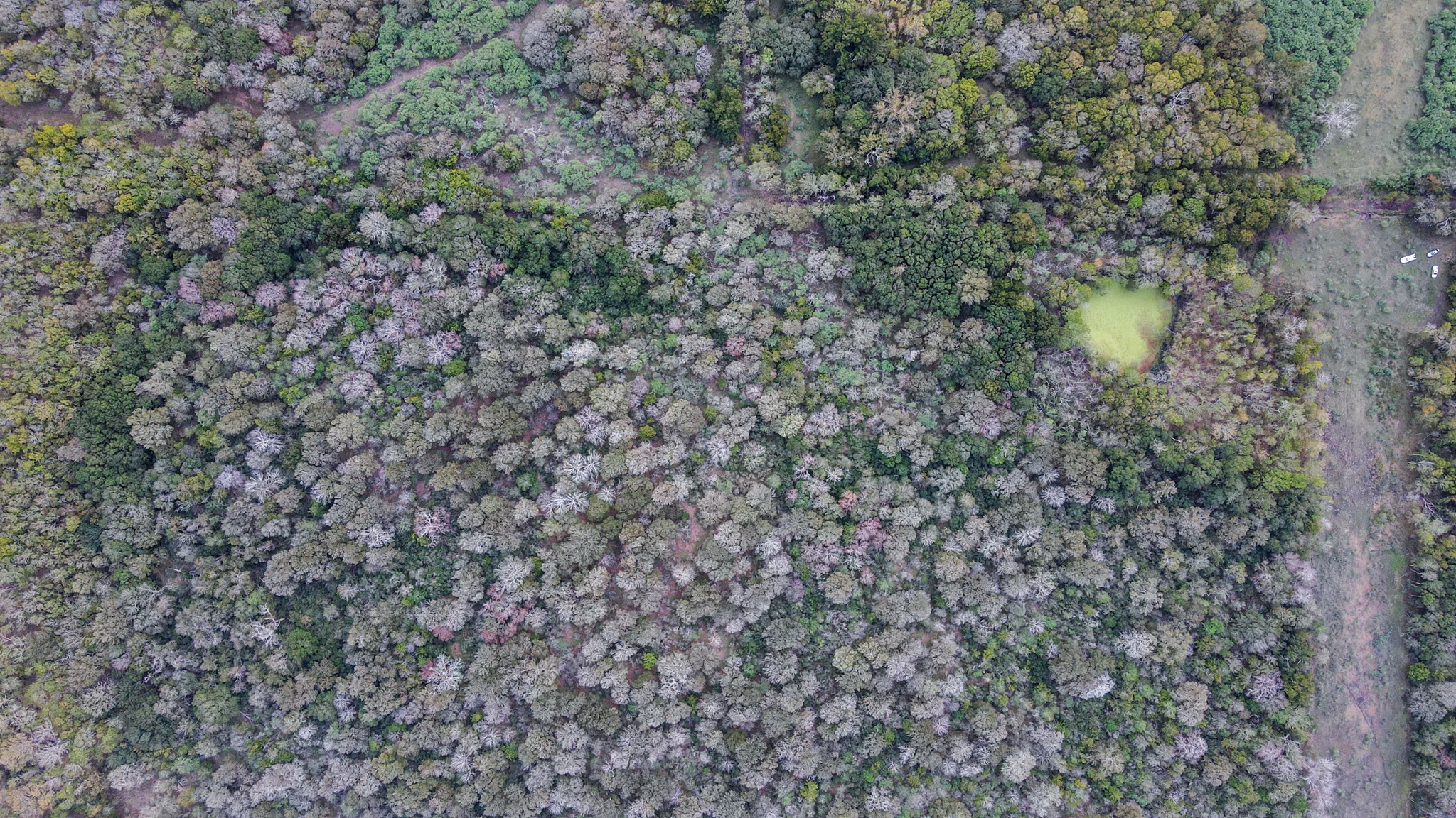 0 Mangum Road , Hungerford, TX, 77448 | 45286209 | Realty Texas LLC