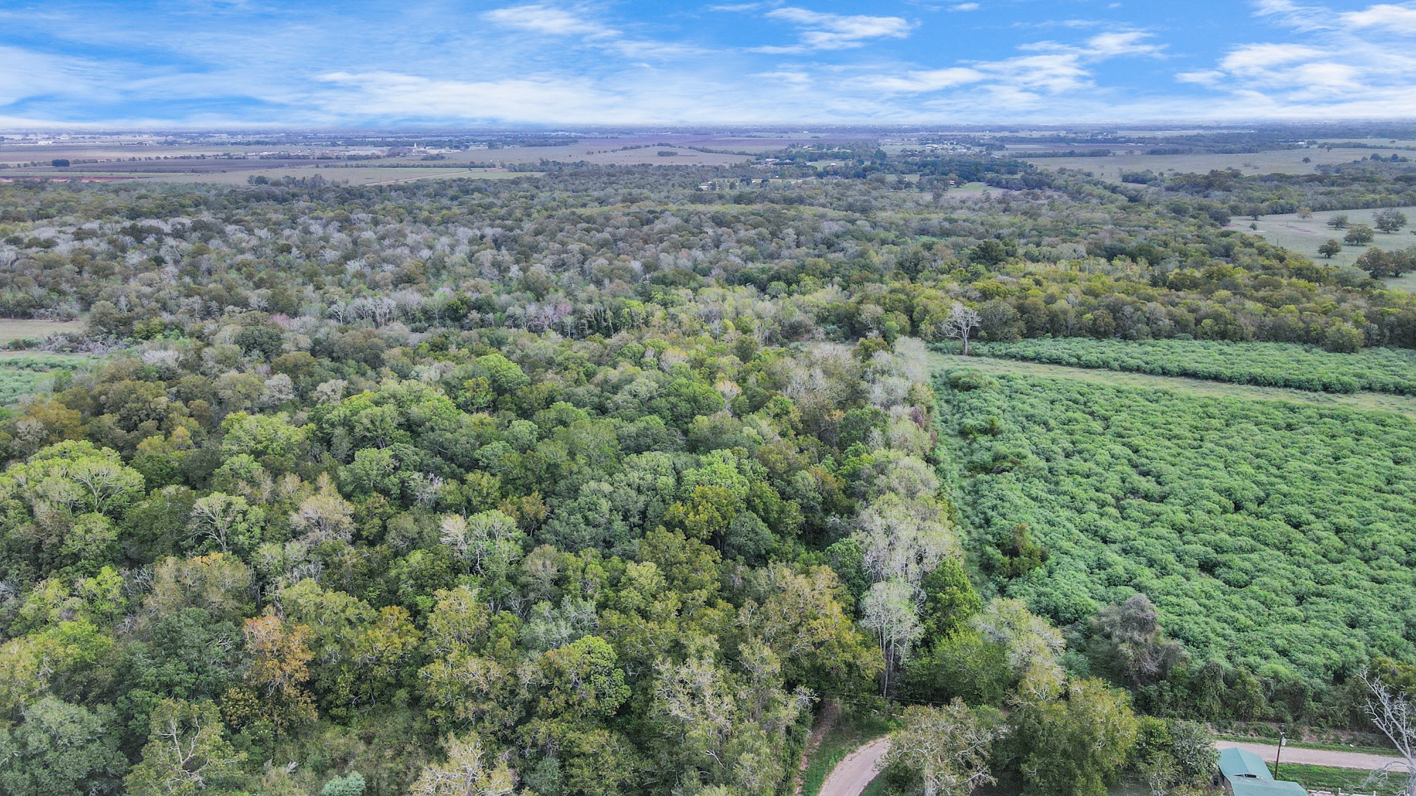 0 Mangum Road , Hungerford, TX, 77448 | 45286209 | Realty Texas LLC