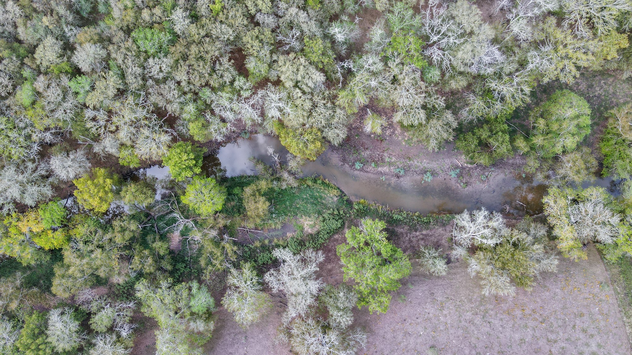 0 Mangum Road , Hungerford, TX, 77448 | 45286209 | Realty Texas LLC