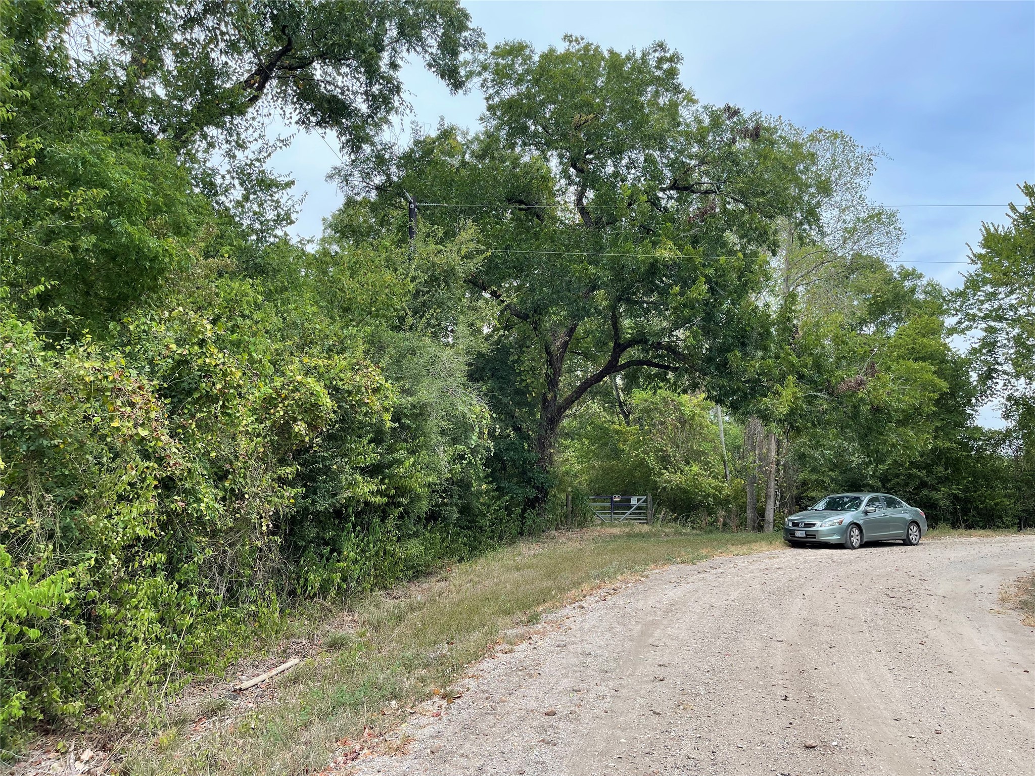 0 Mangum Road , Hungerford, TX, 77448 | 45286209 | Realty Texas LLC