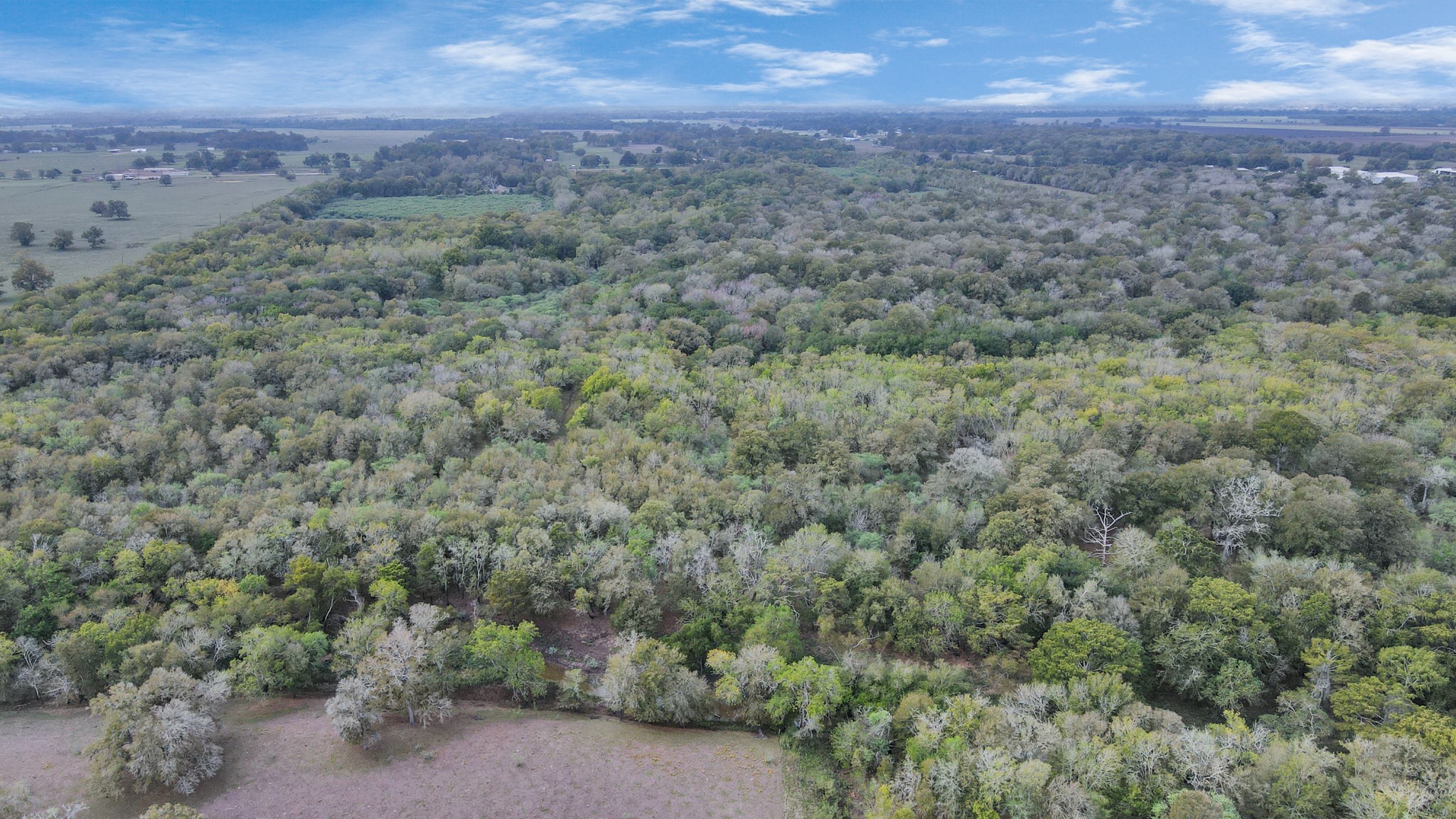 0 Mangum Road , Hungerford, TX, 77448 | 45286209 | Realty Texas LLC