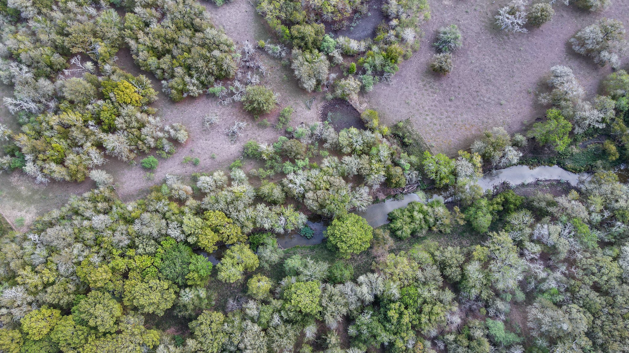 0 Mangum Road , Hungerford, TX, 77448 | 45286209 | Realty Texas LLC