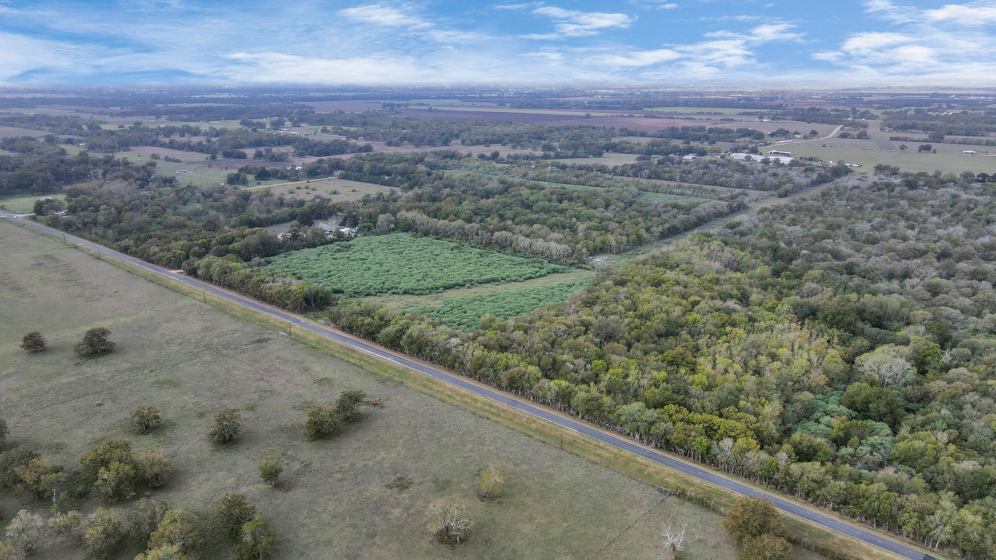 0 Mangum Road , Hungerford, TX, 77448 | 45286209 | Realty Texas LLC