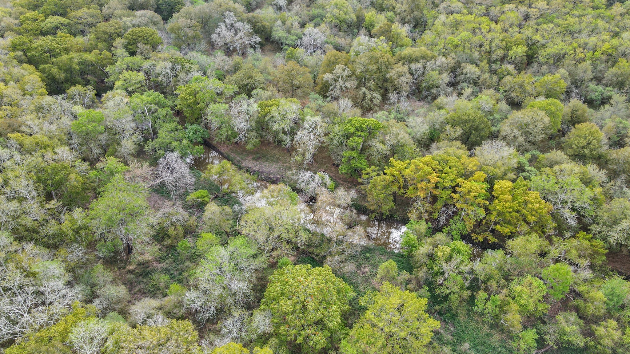 0 Mangum Road , Hungerford, TX, 77448 | 45286209 | Realty Texas LLC