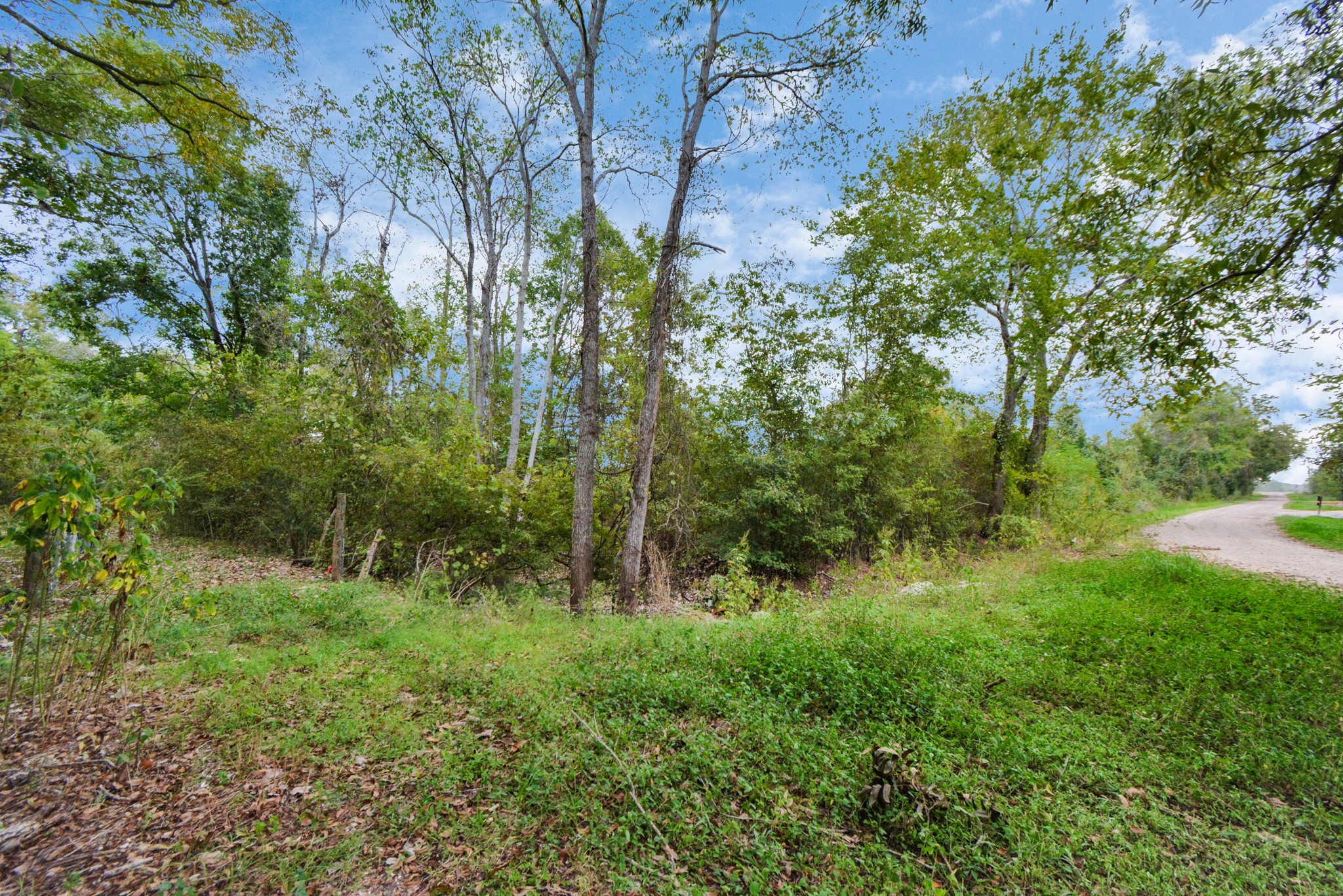 0 Mangum Road , Hungerford, TX, 77448 | 45286209 | Realty Texas LLC