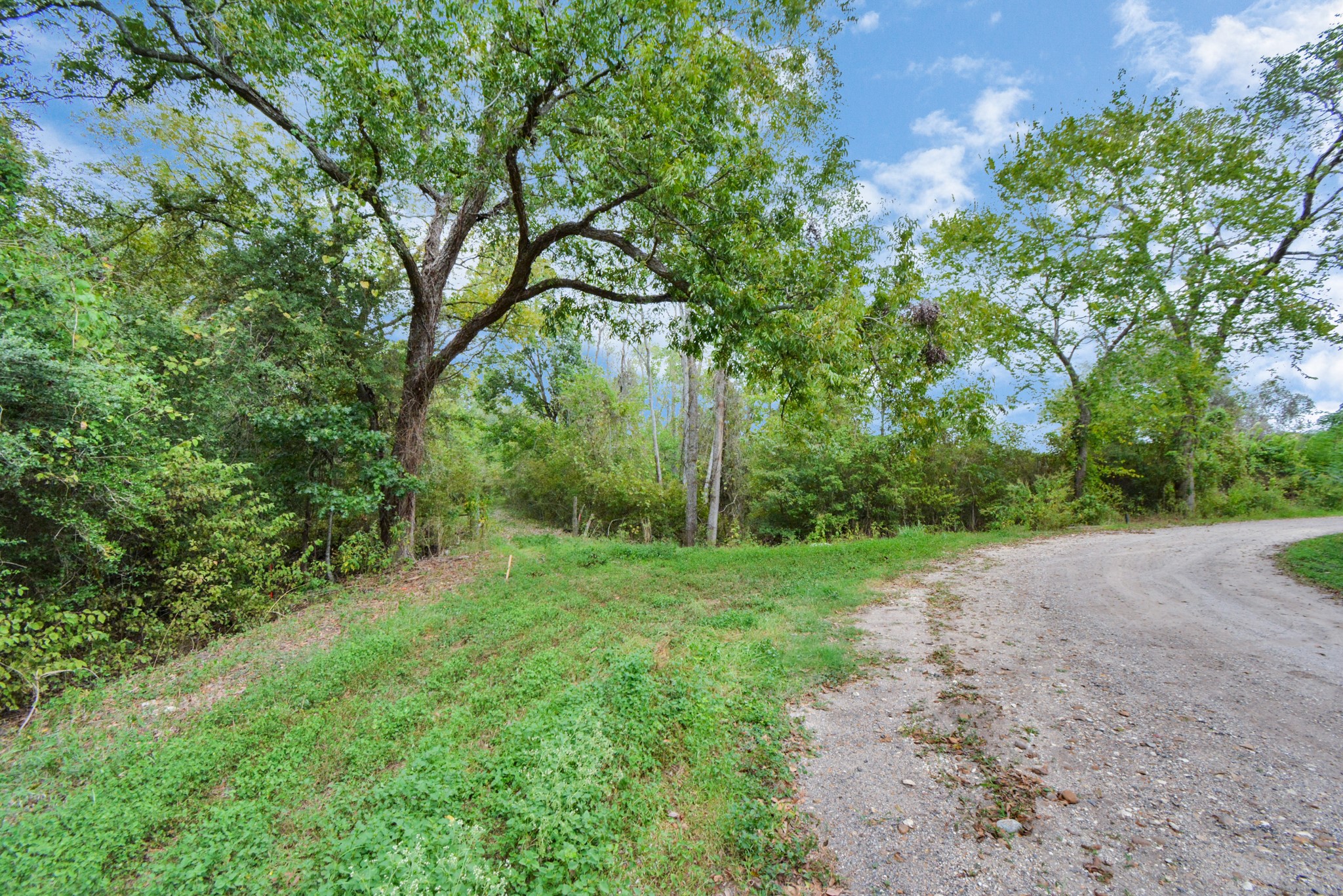 0 Mangum Road , Hungerford, TX, 77448 | 45286209 | Realty Texas LLC