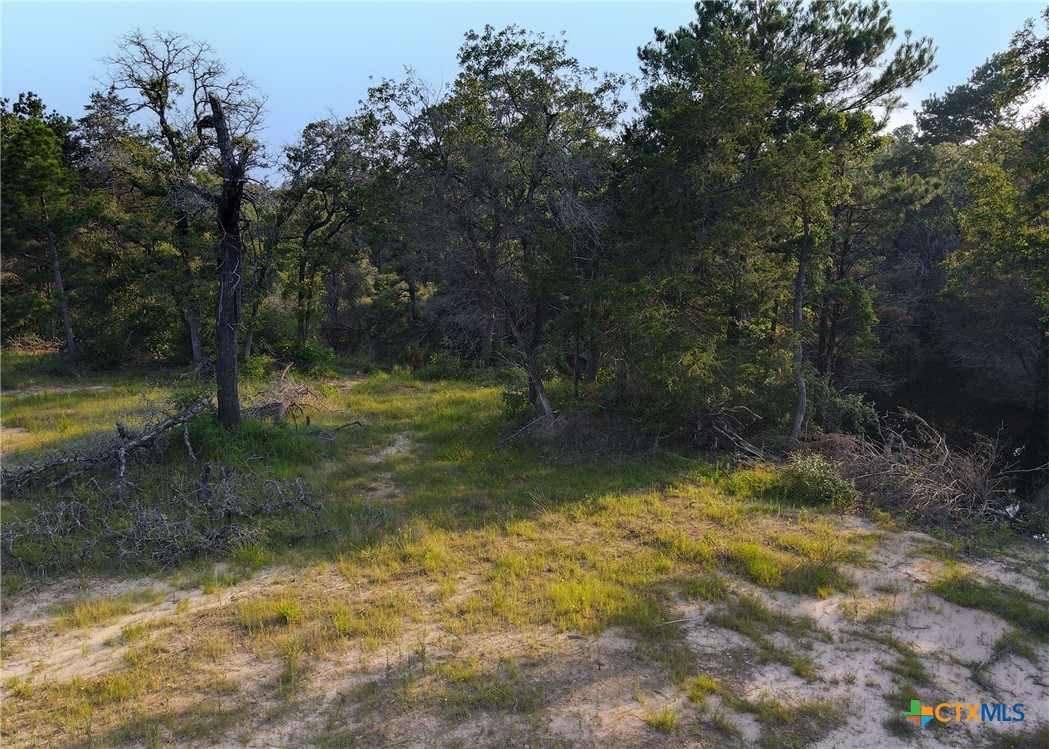 LOT 16 County Road 322 , Milano, TX, 76556 | 546109 | Realty Texas LLC