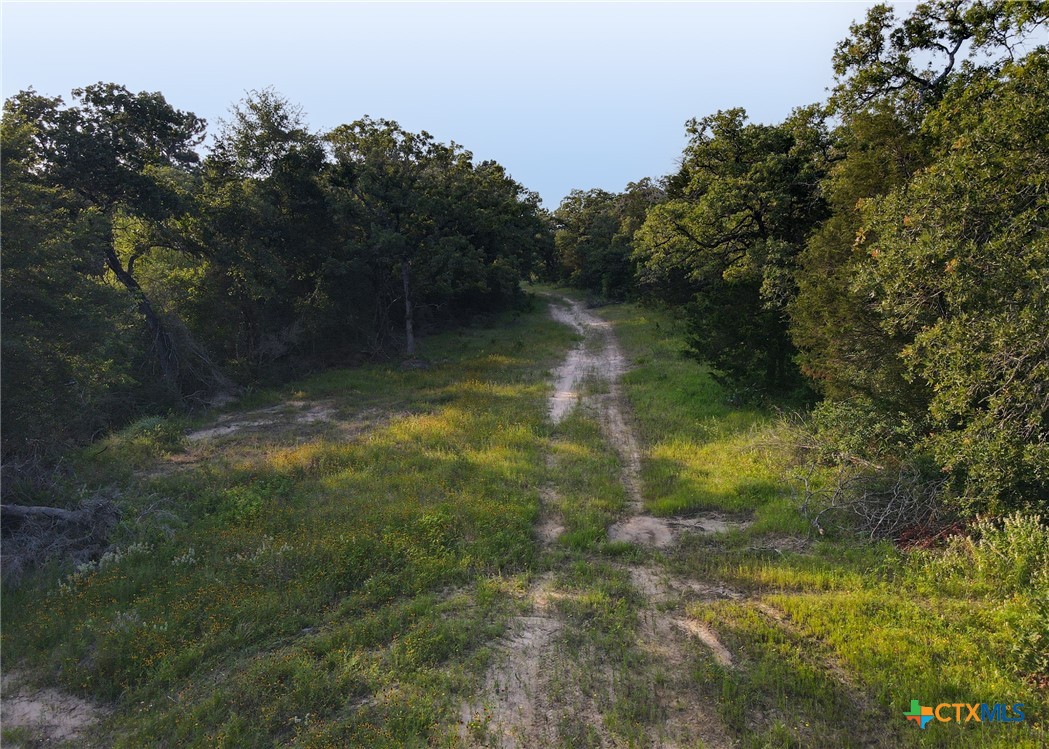 LOT 16 County Road 322 , Milano, TX, 76556 | 546109 | Realty Texas LLC