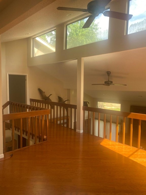 19634 Enchanted Oaks Drive , Spring, TX, 77388 | 65479793 | Realty Texas LLC