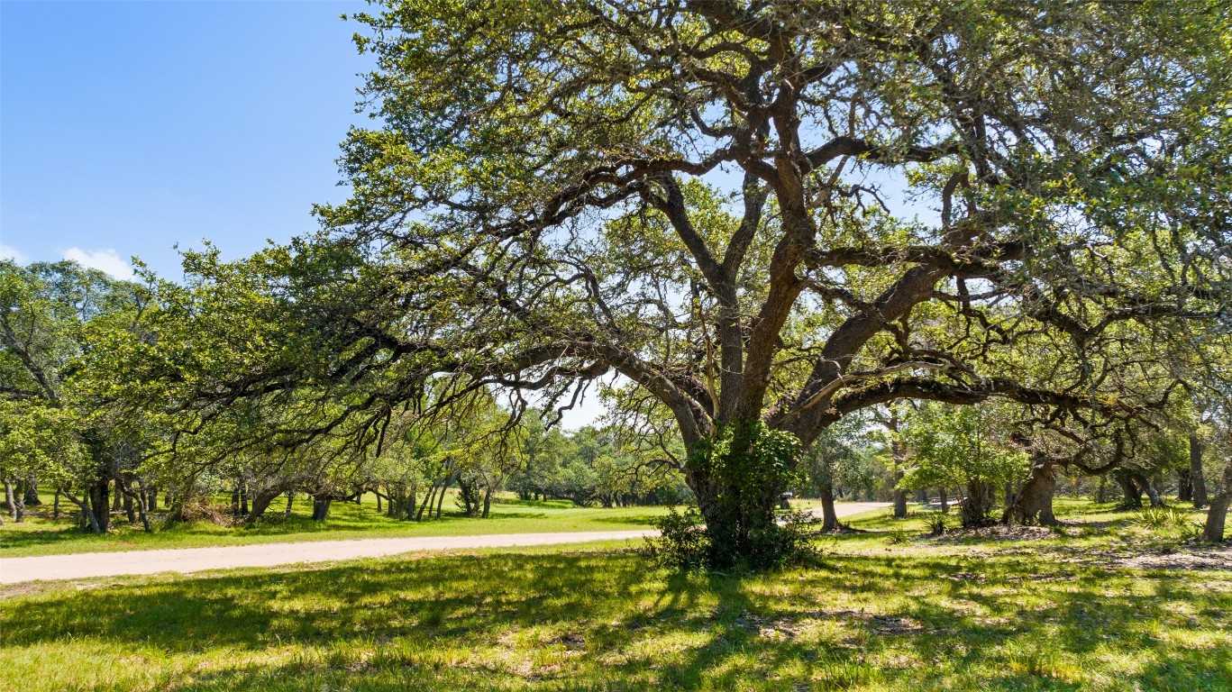 7773 Middle Creek Road , Blanco, TX, 78606 | 8616992 | Realty Texas LLC