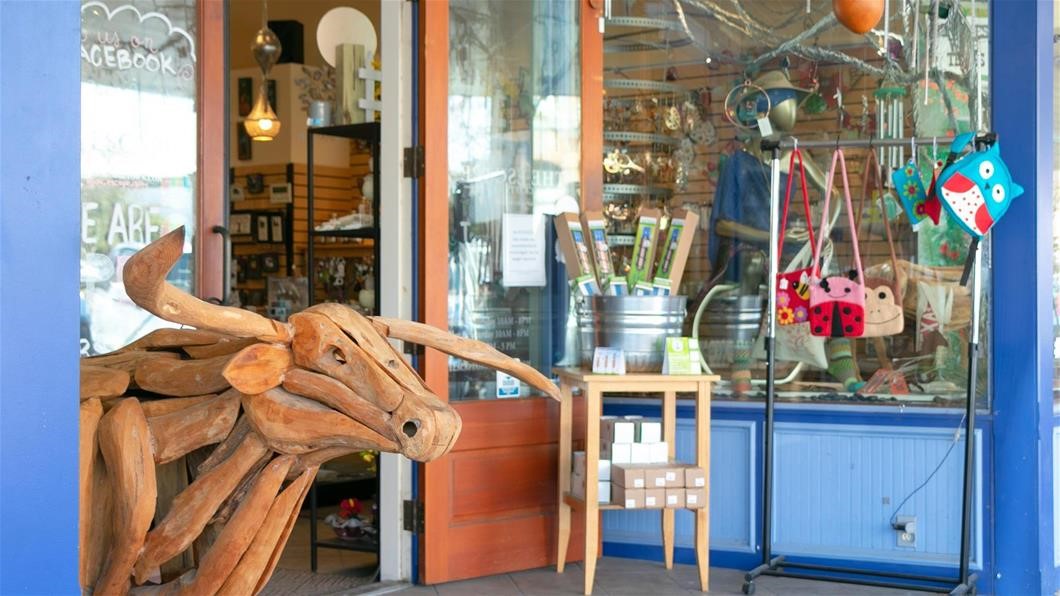 201 Amber Oak Lane , Georgetown, TX, 78628 | 9669891 | Realty Texas LLC