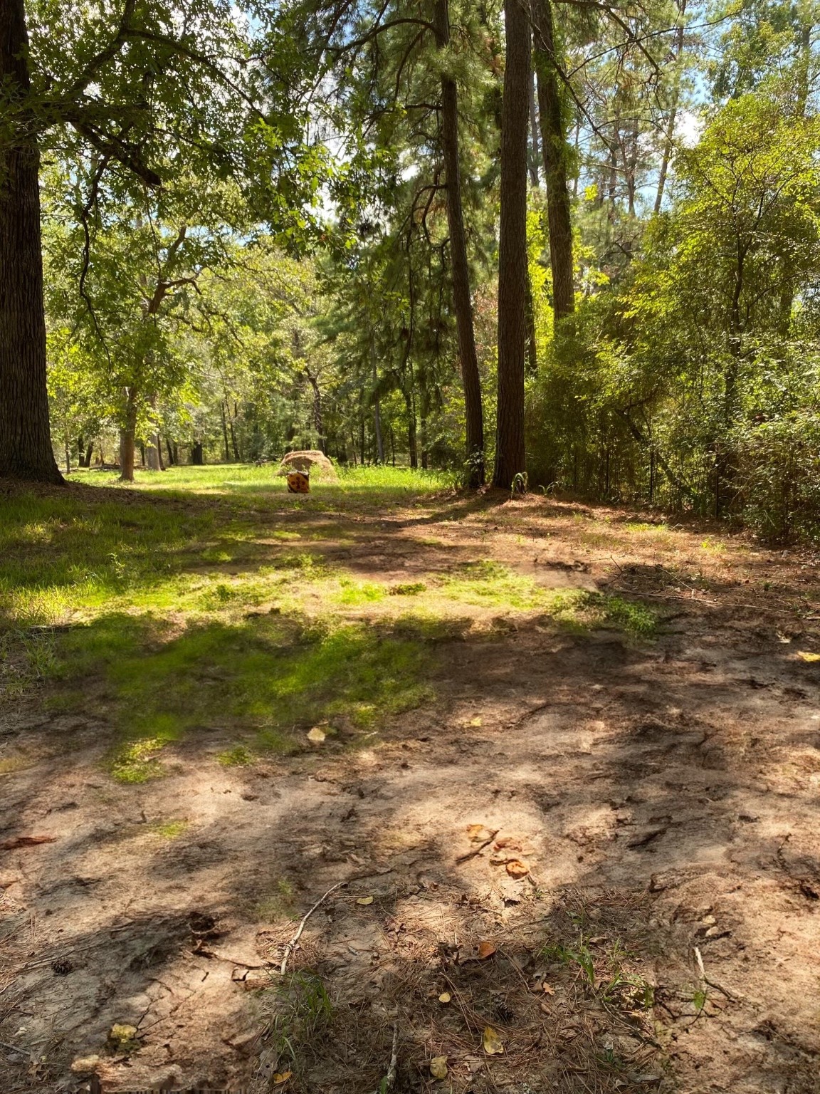 138 Gourd Creek Drive , Huntsville, TX, 77340 | 46299341 | Realty Texas LLC