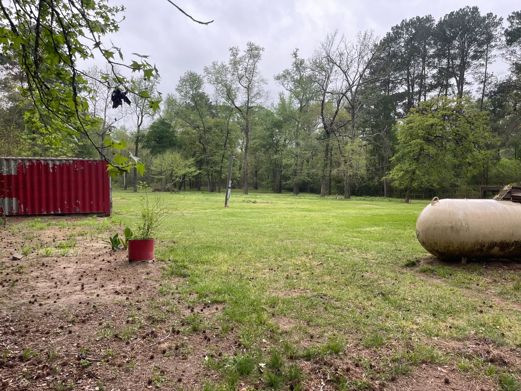 138 Gourd Creek Drive , Huntsville, TX, 77340 | 46299341 | Realty Texas LLC
