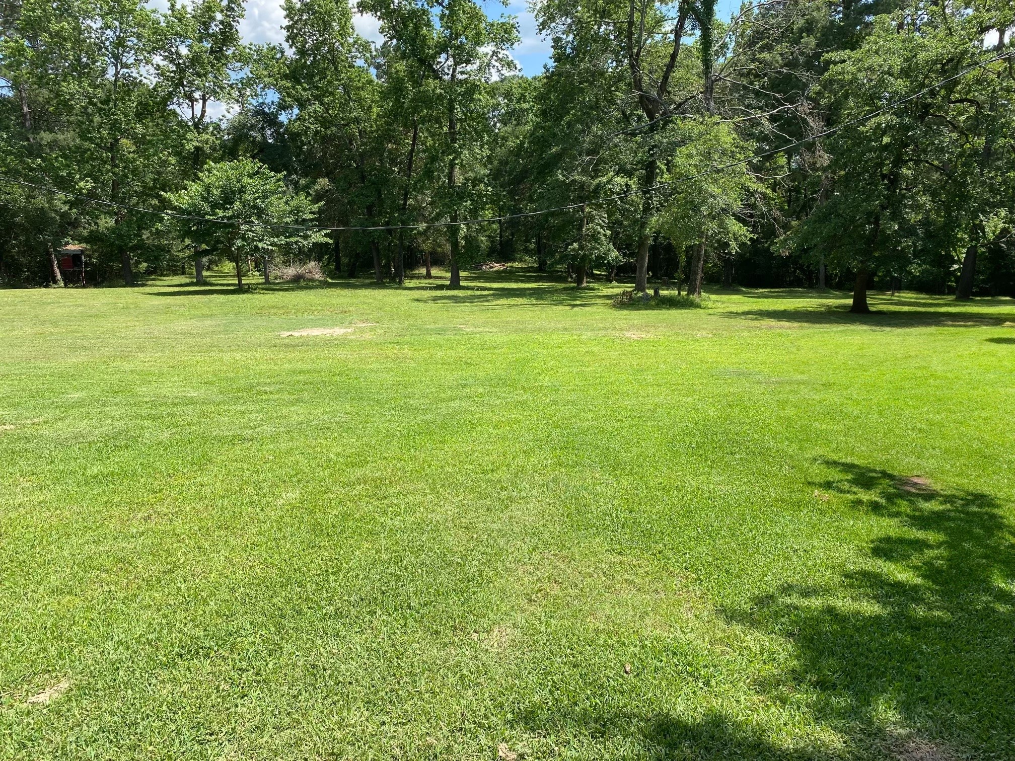138 Gourd Creek Drive , Huntsville, TX, 77340 | 46299341 | Realty Texas LLC
