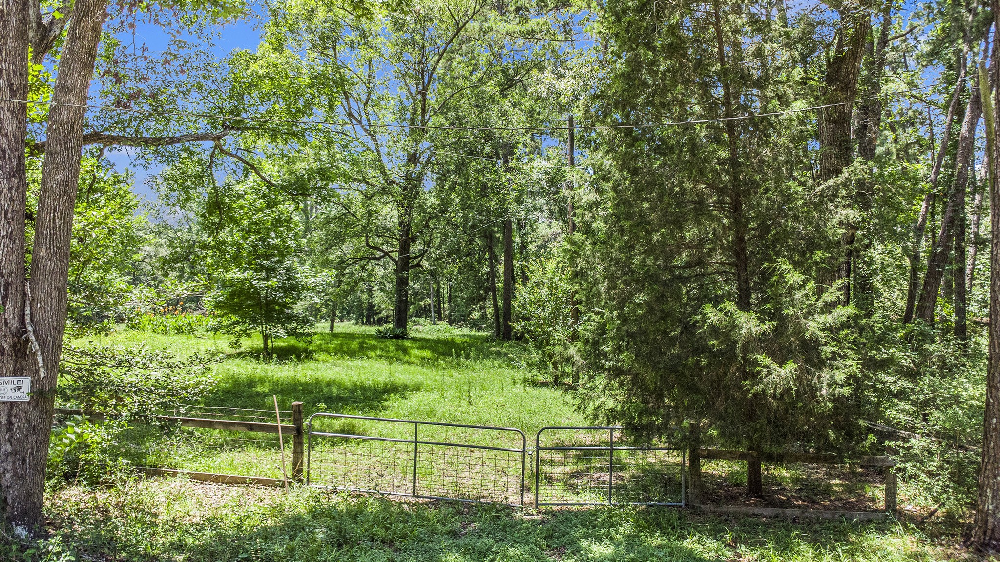 138 Gourd Creek Drive , Huntsville, TX, 77340 | 46299341 | Realty Texas LLC
