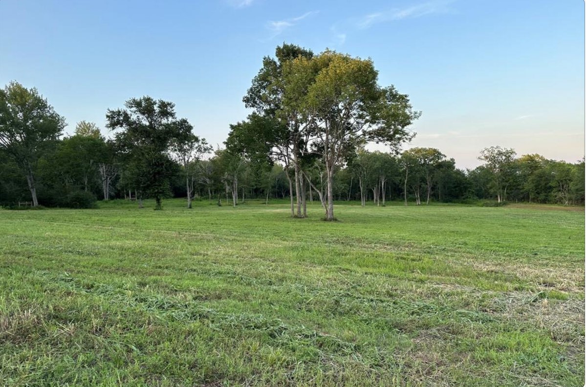 612 Worsham Street , Montgomery, TX, 77316 | 10263229 | Realty Texas LLC