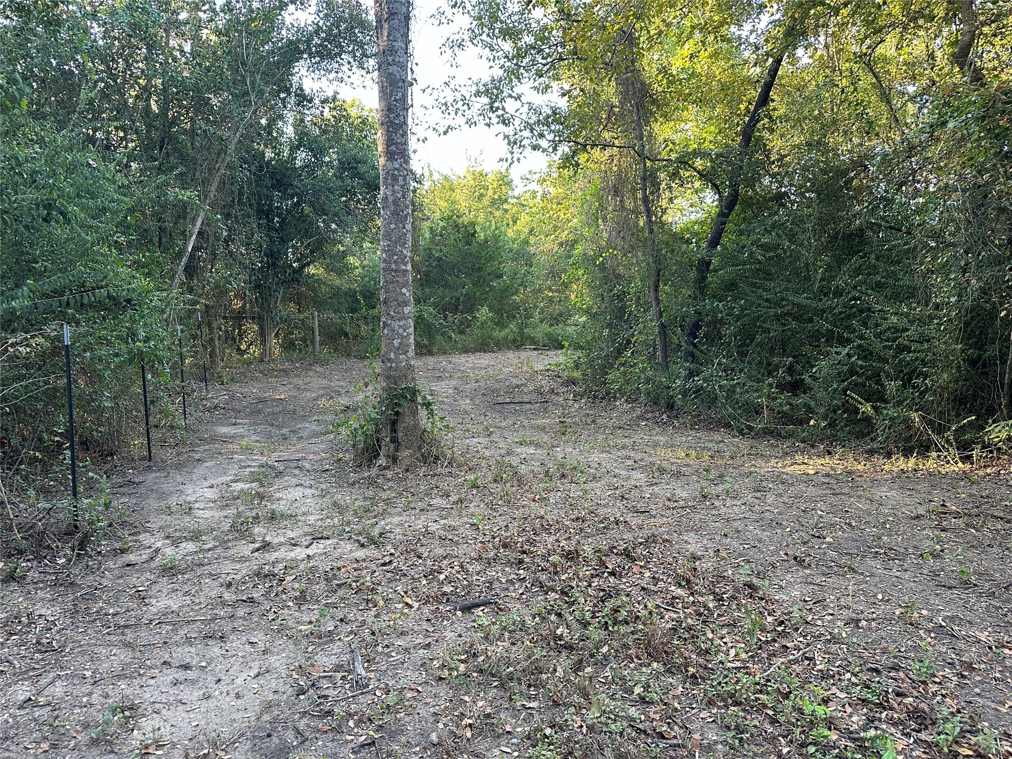 612 Worsham Street , Montgomery, TX, 77316 | 10263229 | Realty Texas LLC