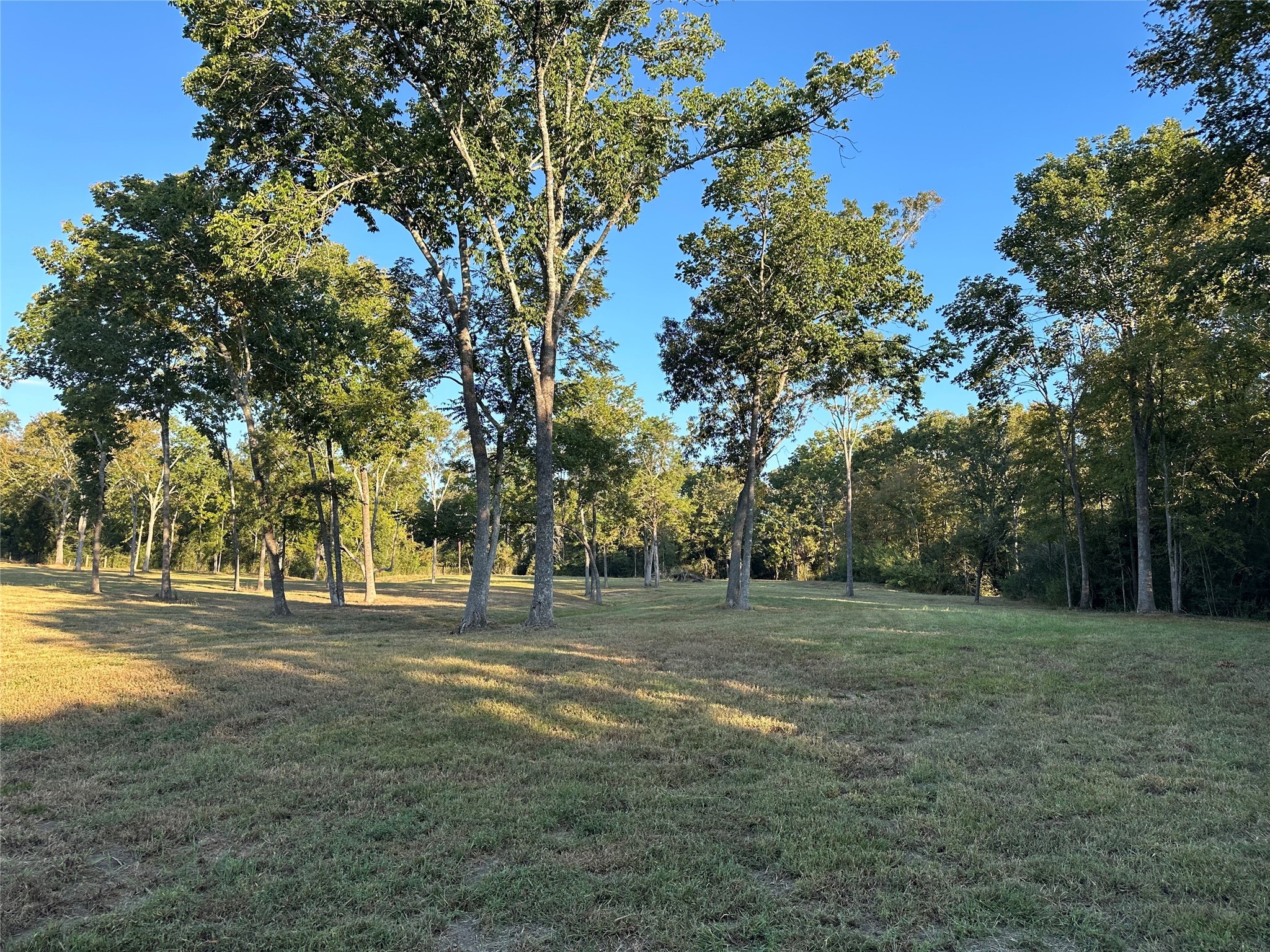 612 Worsham Street , Montgomery, TX, 77316 | 10263229 | Realty Texas LLC
