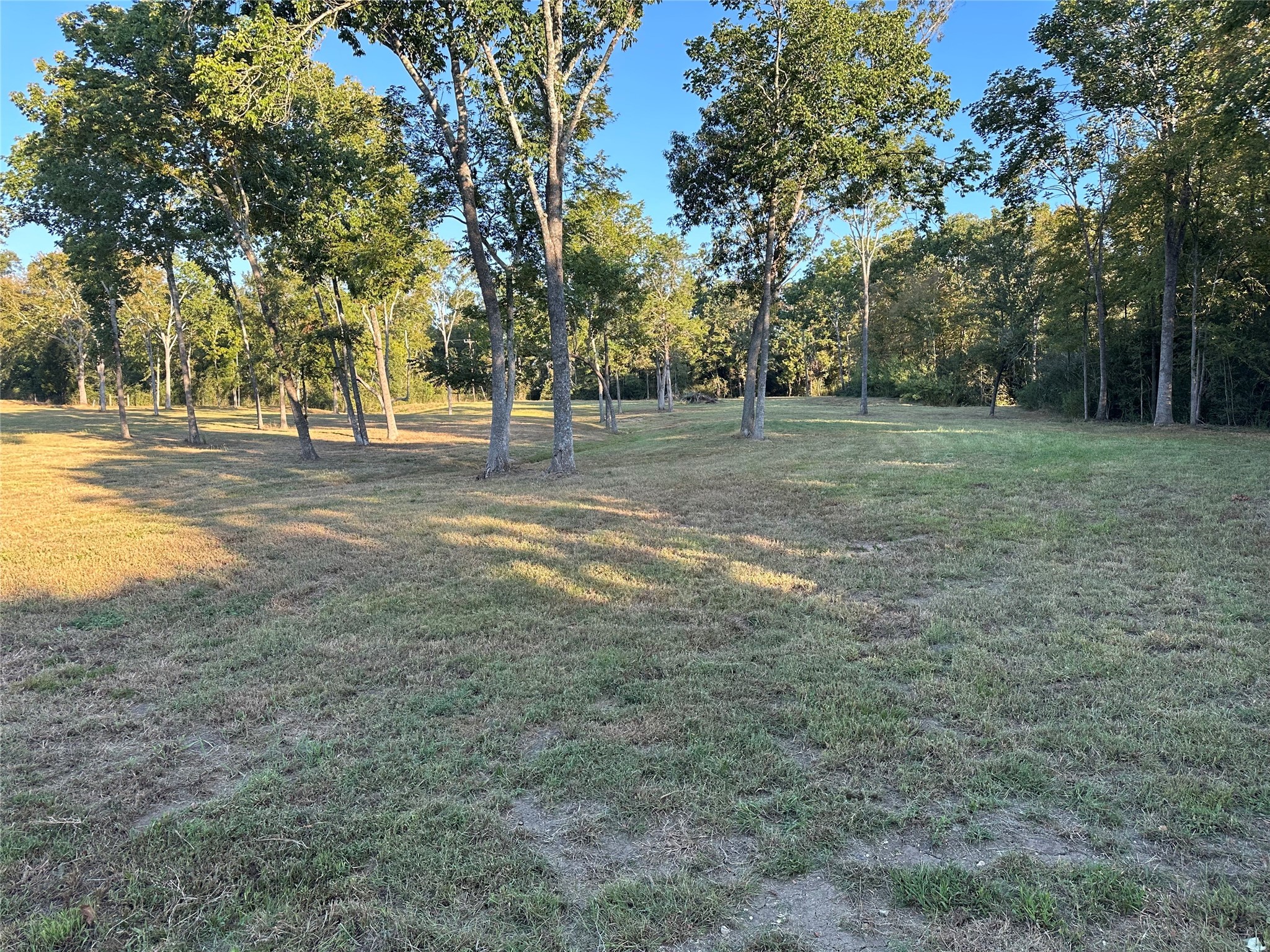 612 Worsham Street , Montgomery, TX, 77316 | 10263229 | Realty Texas LLC