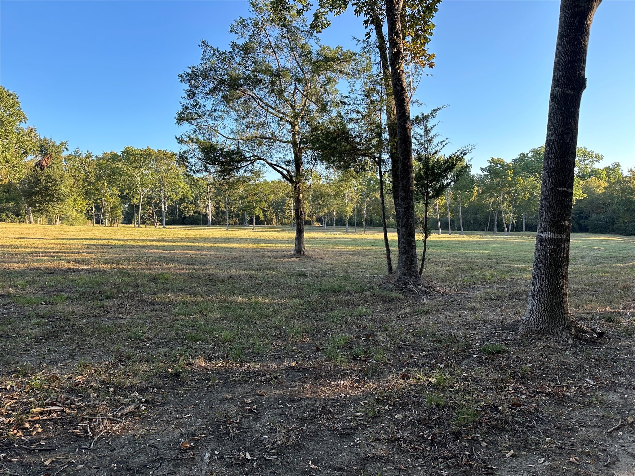 612 Worsham Street , Montgomery, TX, 77316 | 10263229 | Realty Texas LLC