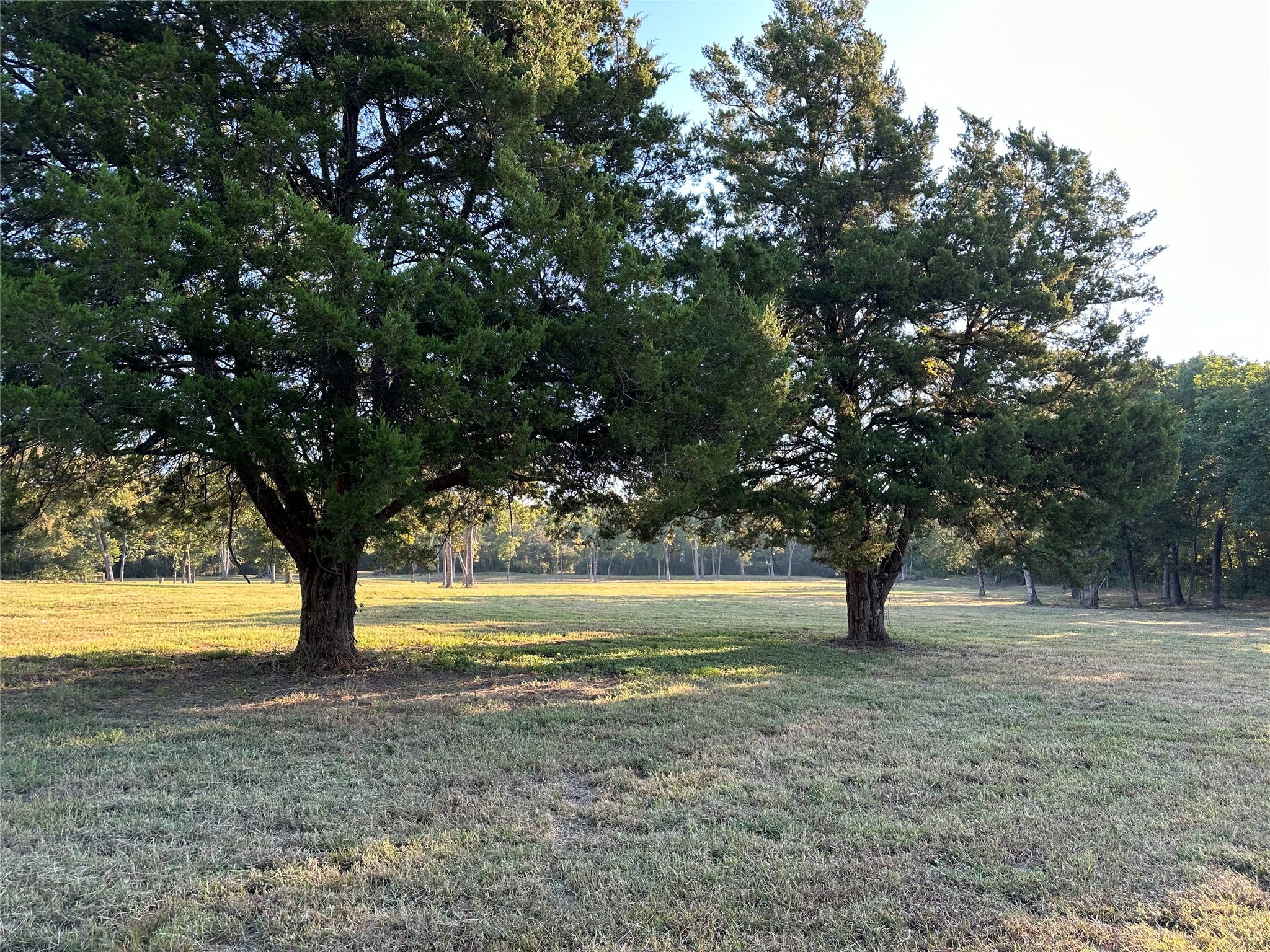 612 Worsham Street , Montgomery, TX, 77316 | 10263229 | Realty Texas LLC