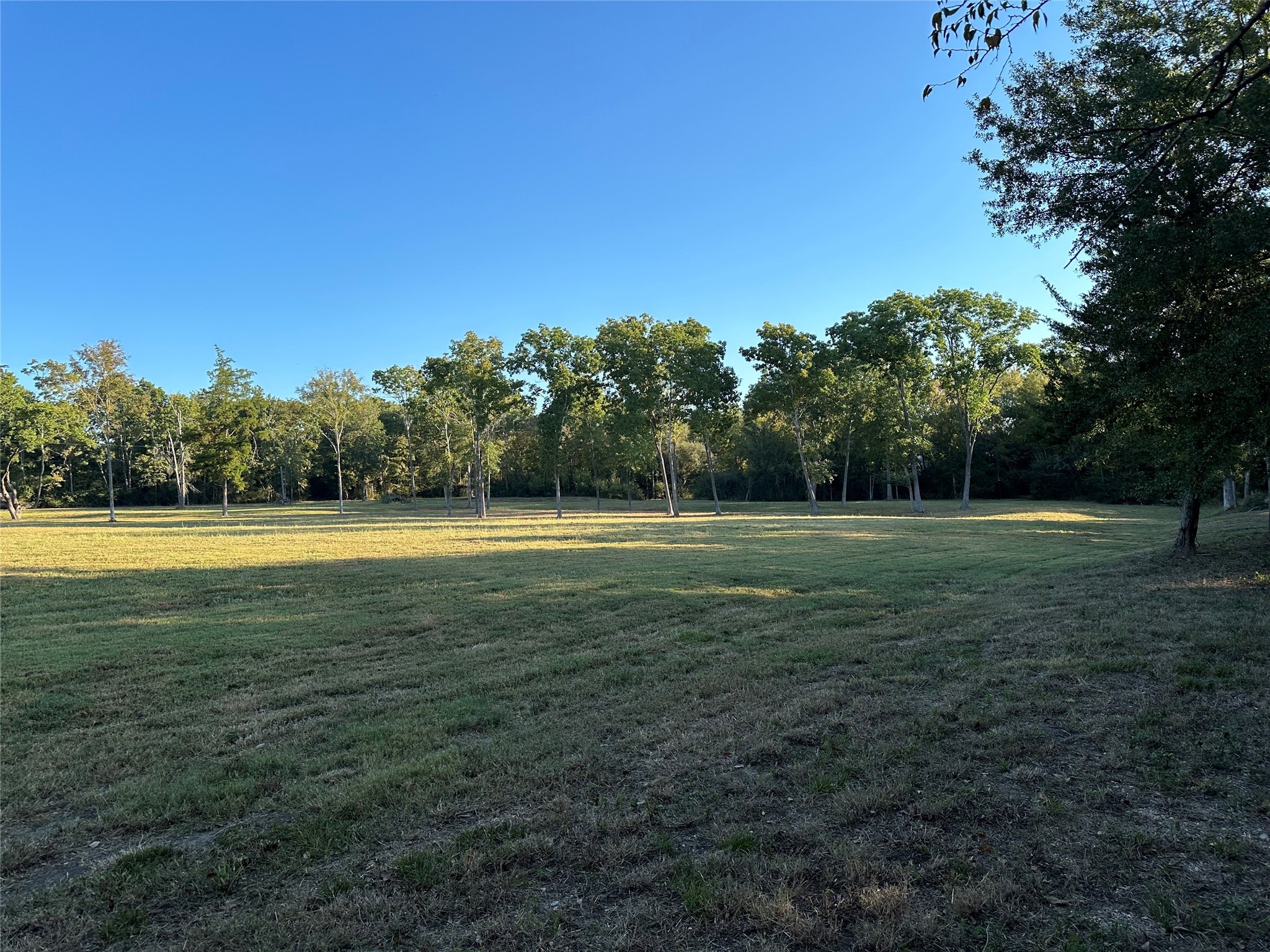 612 Worsham Street , Montgomery, TX, 77316 | 10263229 | Realty Texas LLC