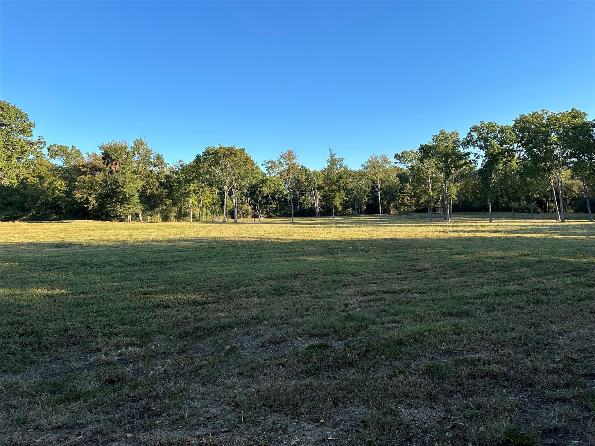 612 Worsham Street , Montgomery, TX, 77316 | 10263229 | Realty Texas LLC
